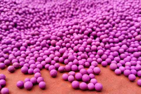 ���i�����